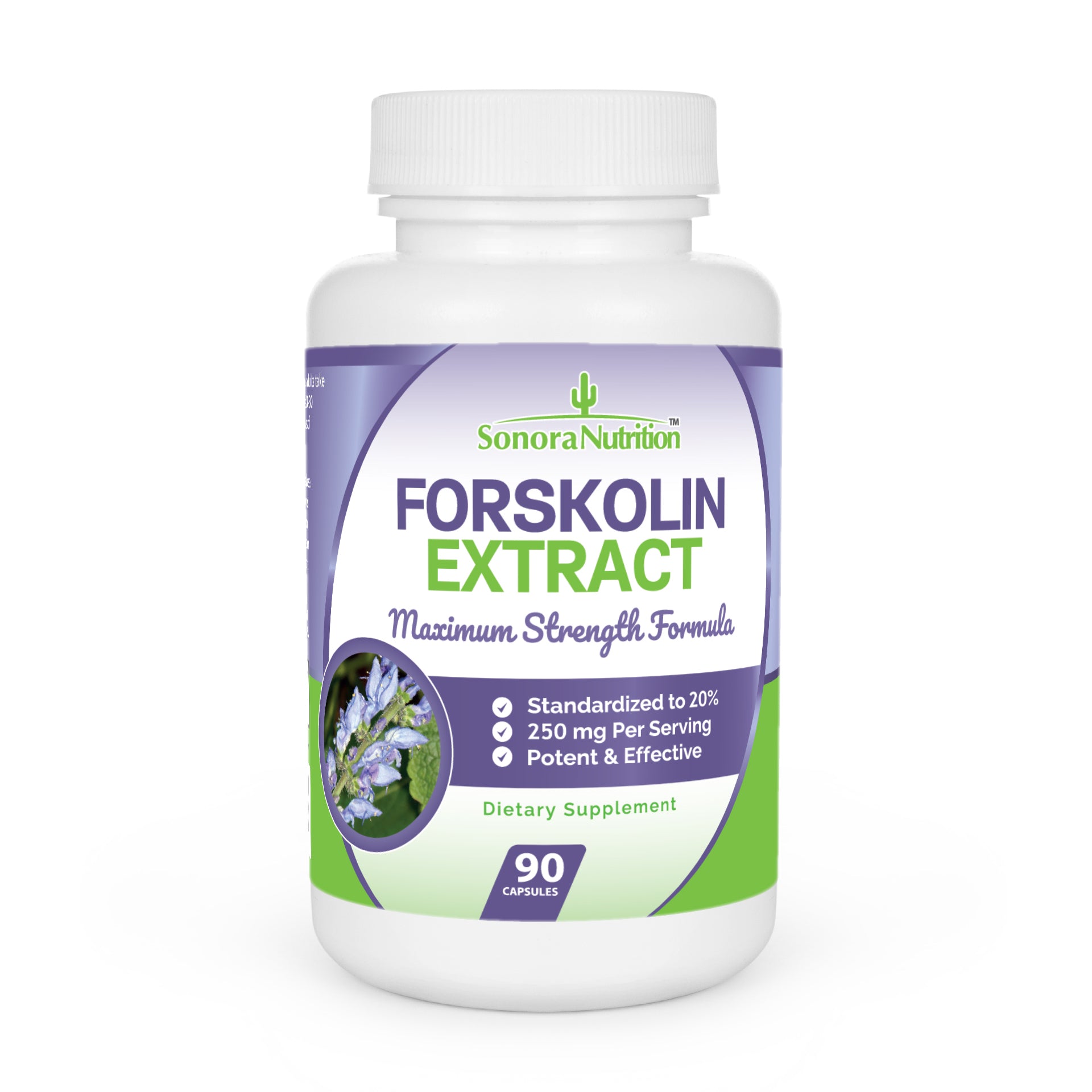 Forskolin By Sonora Nutrition Forskolin Extract Natural Metabolism